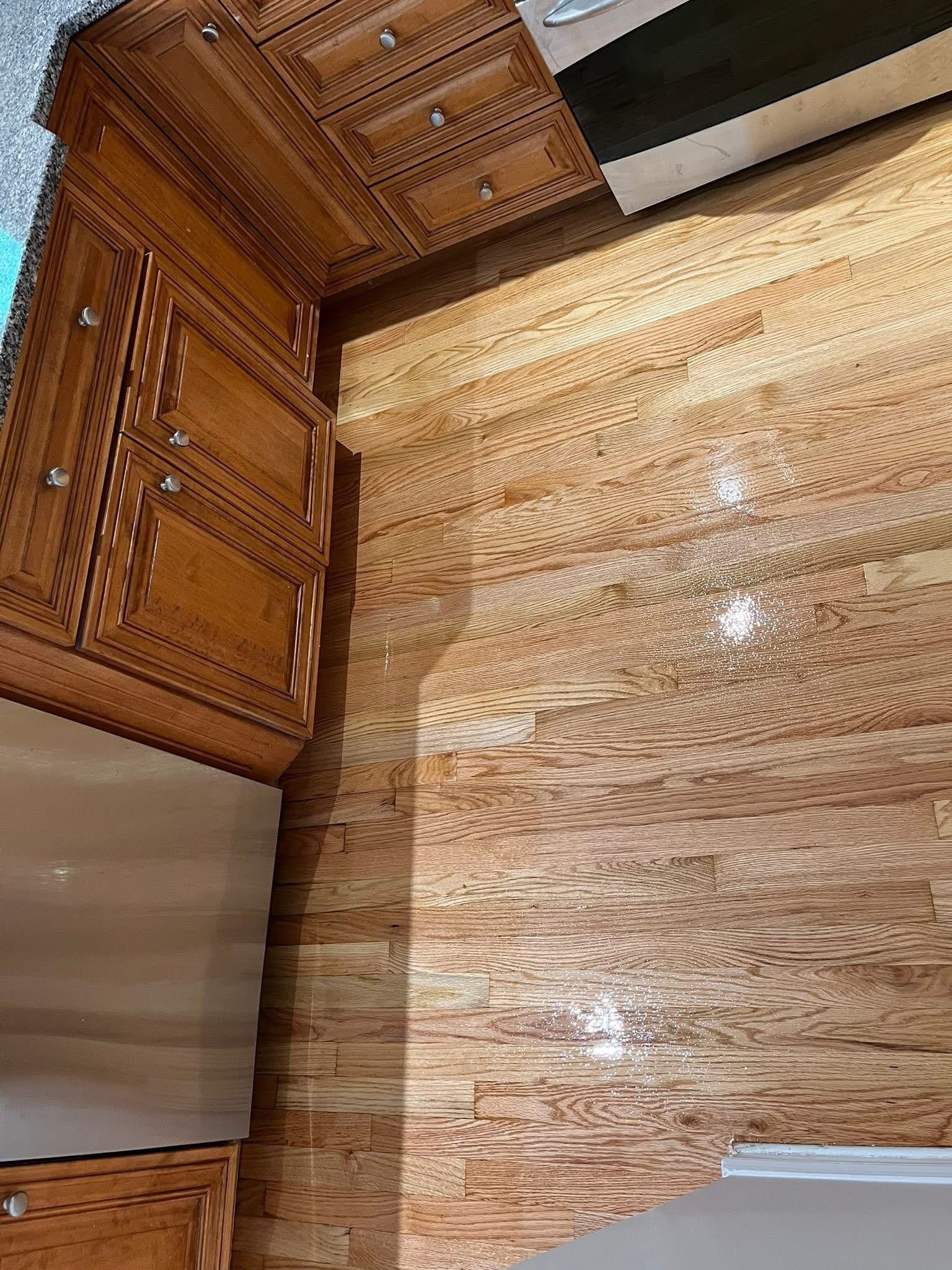 WhatsApp Image 2026-03-10 at 10.34.23